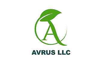 Avrus LLC