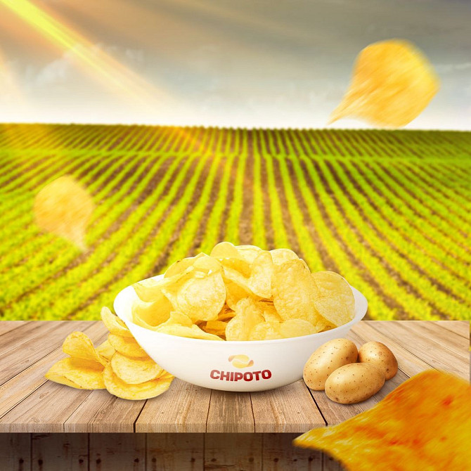 Chipotle chips Fergana - photo 1