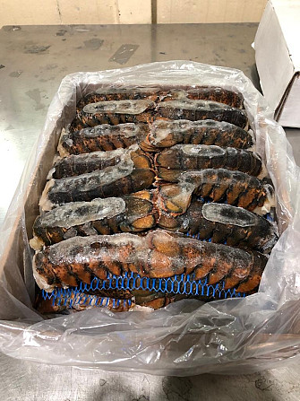 Canadian lobster tails Sochi - photo 2