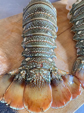 Rock lobster tails 150-300 gr Sochi - photo 1
