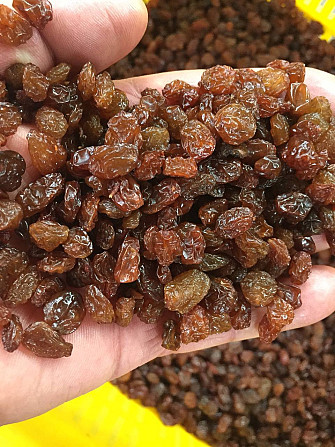 Dried grapes (raisins), a natural product from Uzbekistan Tashkent - photo 1