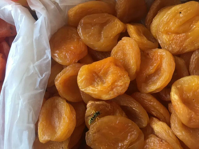 Dried apricots-Dried apricots Kattakurgan - photo 1