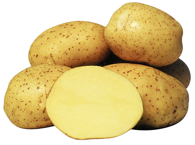 Fresh potatoes Kemerovo - photo 1