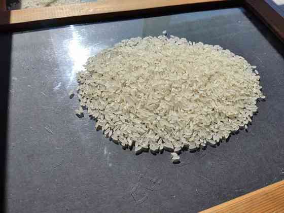 Краснодарский рис от производителя Krasnodar