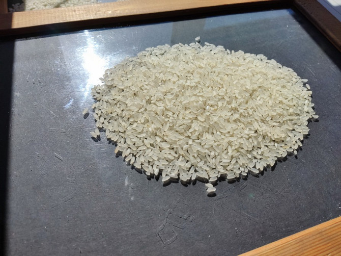 Krasnodar rice from the manufacturer Krasnodar - photo 2