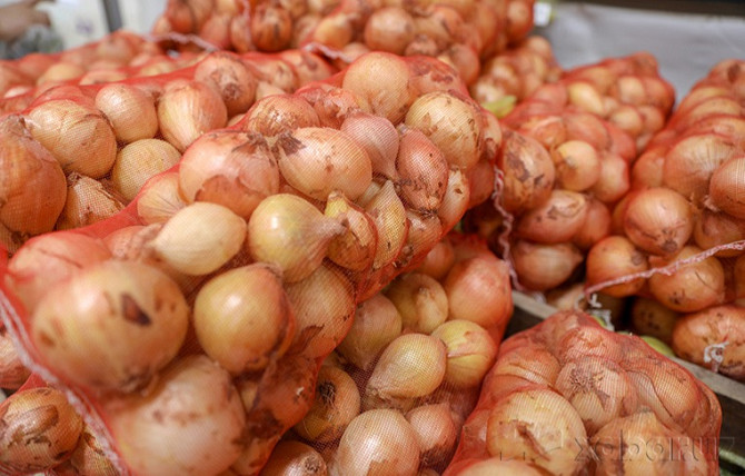 Onion Sweet and Shallot / Piyoz Sweet and Sibur / Luk Sweet i Sibur / Sibir Tashkent - photo 1