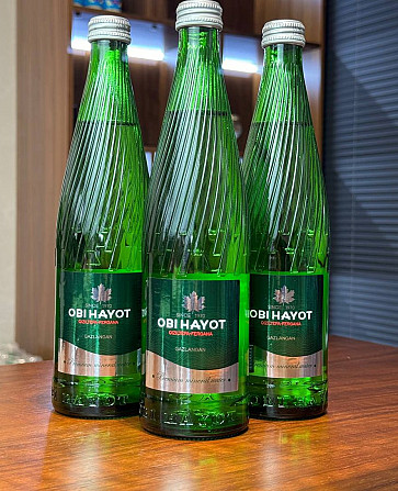 Natural, healing, mineral waters produced under the OBI HAYOT brand Tashkent - photo 2