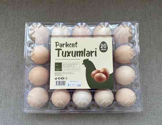 Chicken eggs Tashkent