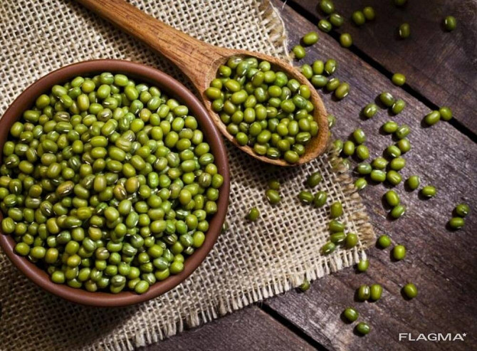 Green mung beans Turkmenabat - photo 2