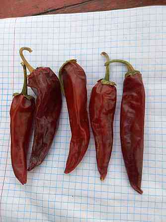 Красный, горький сушеный перец Высший сорт Fergana