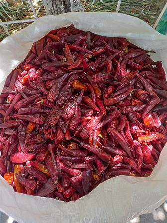 Red, bitter dried perets High grade Fergana - photo 3